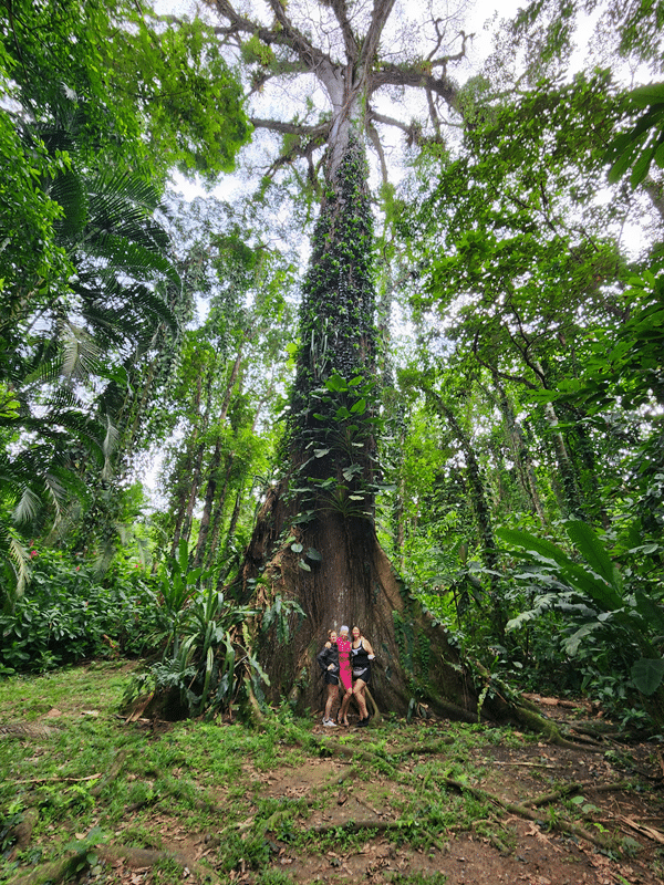 Costa Rica Adventure Retreat